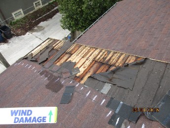 Wind Damage